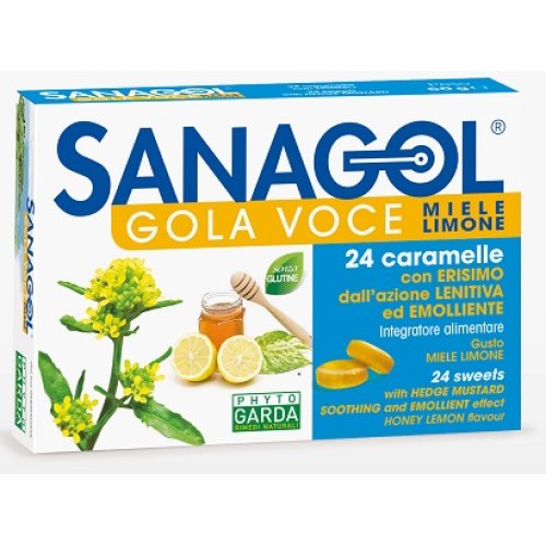 SANAGOL GOLA VOCE 24CAR ERISIM