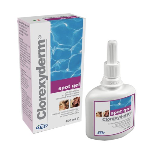 CLOREXYDERM SPOT GEL 100ML