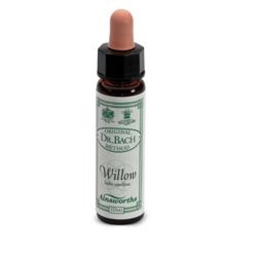 AINSWORTHS WILLOW 10ML