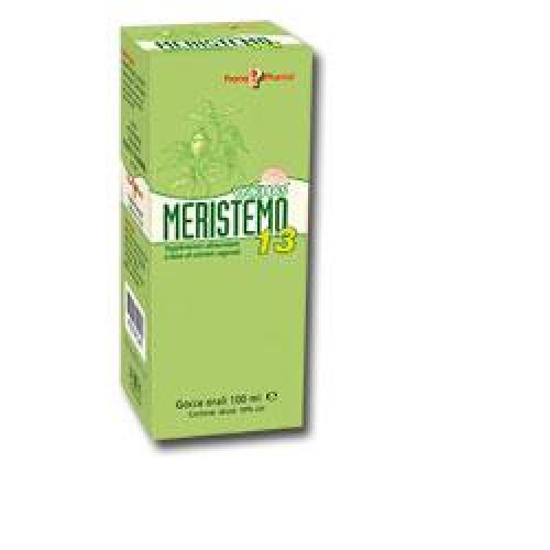 MERISTEMO INKAS 13 100ML