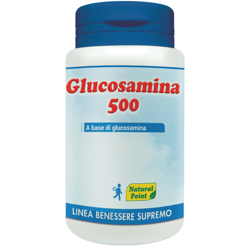 GLUCOSAMINA 500 100 C 60G N.PO