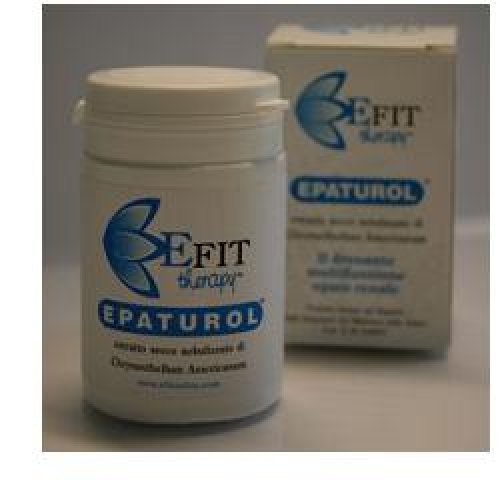 EPATUROL ESTR SEC 50CPS ""EFIT