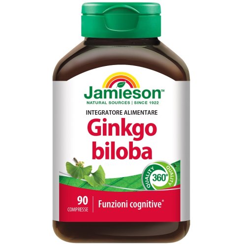 GINKGO BILOBA 120 TM 90CPR