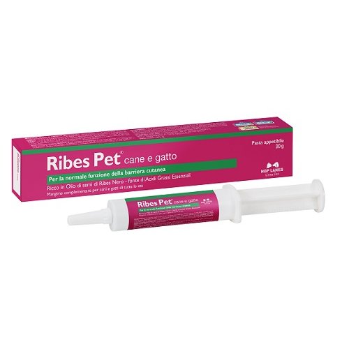 RIBES PET PASTA 30G