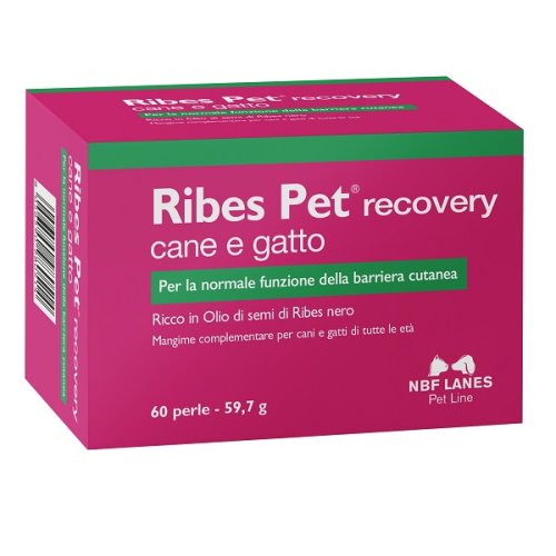 RIBES PET RECOVERY 60PRL