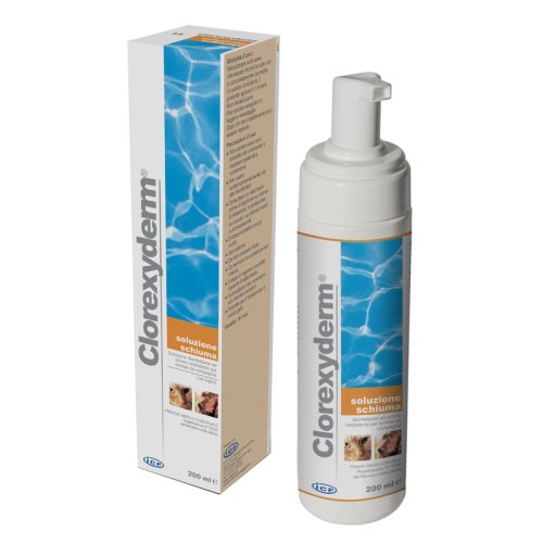 CLOREXYDERM SCHIUMA 200ML