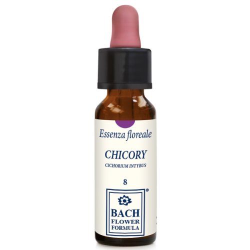 CHICORY ORIGINAL 10ML GTT