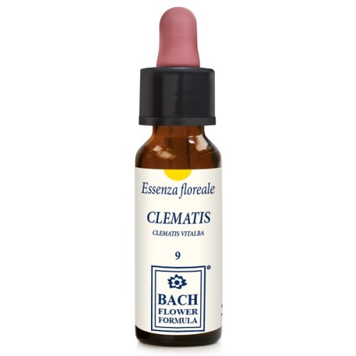 CLEMATIS ORIGINAL 10ML GTT