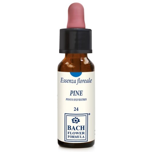 PINE ORIGINAL 10ML GTT