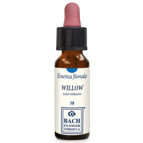 WILLOW ORIGINAL 10ML GTT