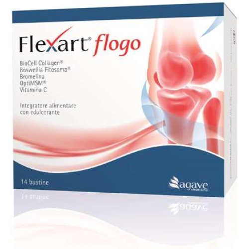 FLEXART FLOGO 14BUST