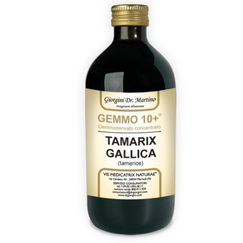 TAMERICE 500ML ANALCO GEMMO10+