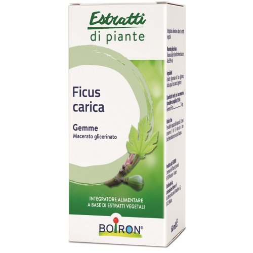 FICUS CARICA 1DH GTT 60ML INT