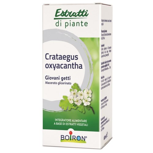 CRATAEGUS OXY MG 60ML INT