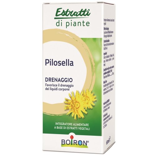 PILOSELLA INT GTT 60ML