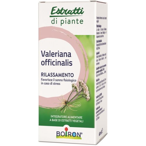 VALERIANA OFF EI 60ML INT