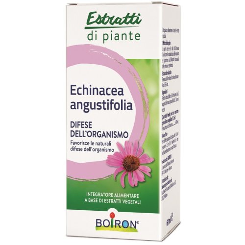 ECHINACEA ANG ESTR IAL 60ML