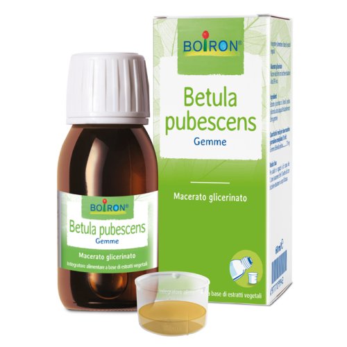 BETULA PUBESCENS MG 60ML INT