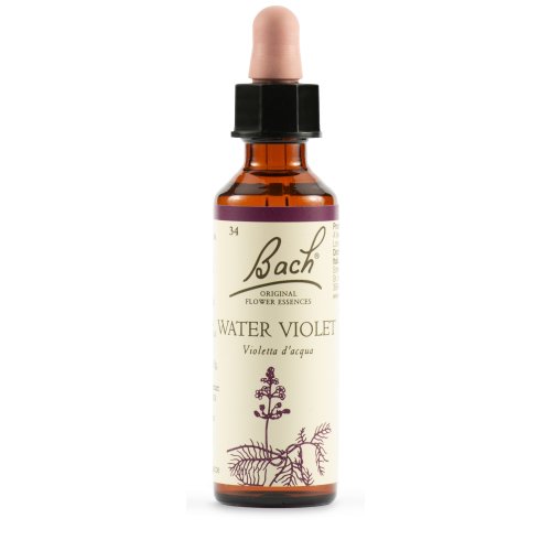 WATER VIOL BACH ORIG 20ML