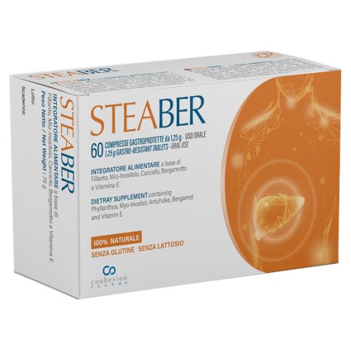 STEABER 60CPR GASTROPROTETTE