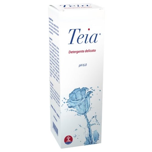 TEIA DETERGENTE CORPO 250ML