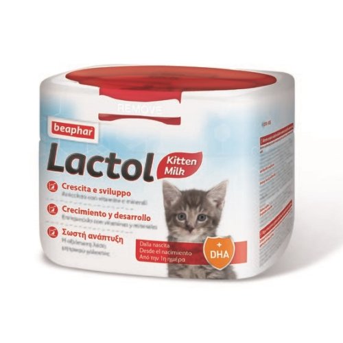 LACTOL GATTINO 250 GR