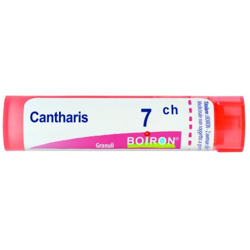 CANTHARIS 7CH GR