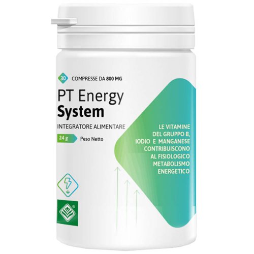 PT ENERGY SYSTEM 30CPR 24G