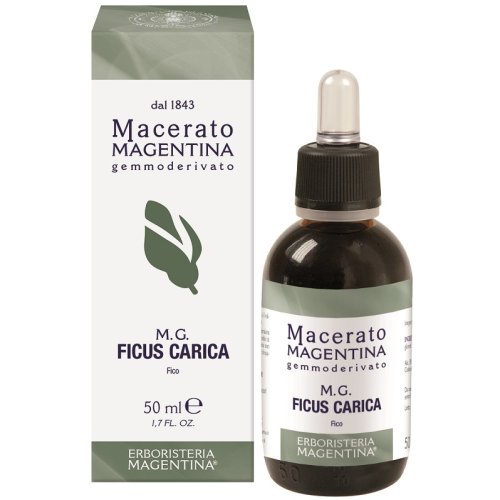FICUS CARICA MACERATO MAGE50ML FICUS CARICA MACERATO MAGE50ML
